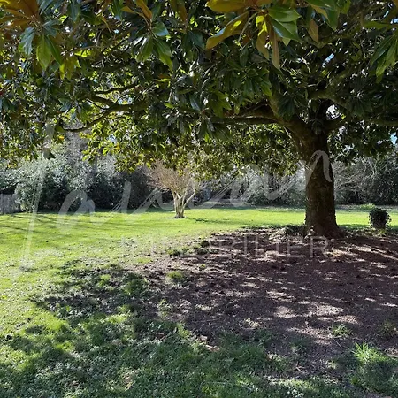 Chocomaitea - Elegance Et Douceur De Vivre Biarritz