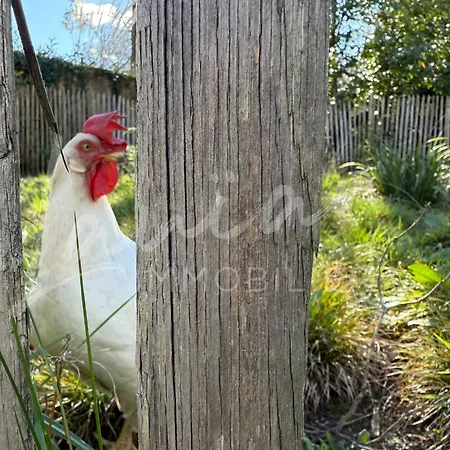 Dom wakacyjny Chocomaitea - Elegance Et Douceur De Vivre *