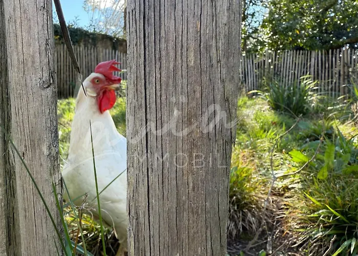 Feriehus Chocomaitea - Elegance Et Douceur De Vivre *